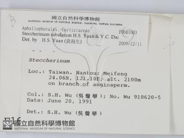 登錄號:F0001603藏品圖，第2張