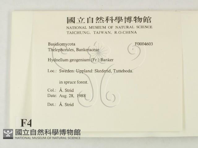 登錄號:F0004603藏品圖，第2張