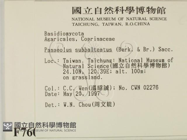 登錄號:F0007603藏品圖，第2張