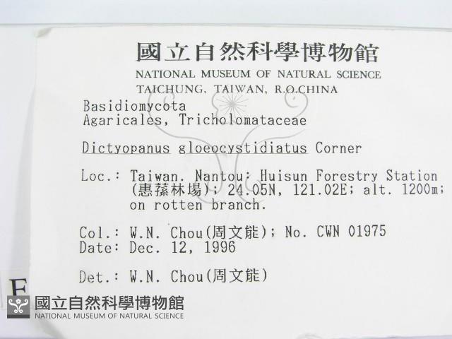 登錄號:F0005603藏品圖，第2張