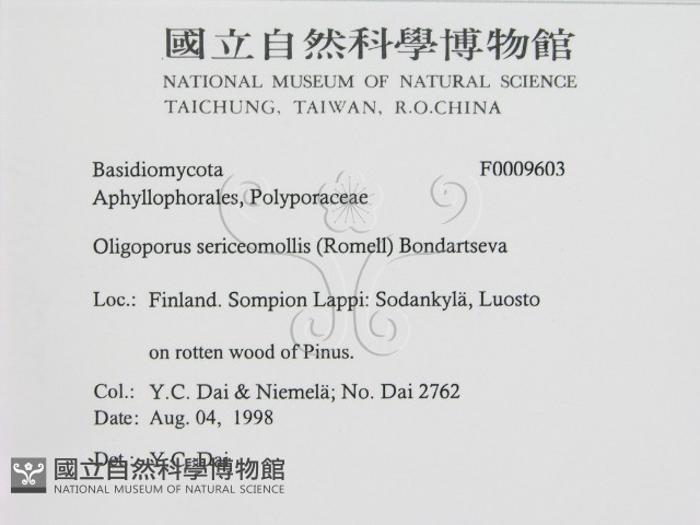 登錄號:F0009603藏品圖，第2張