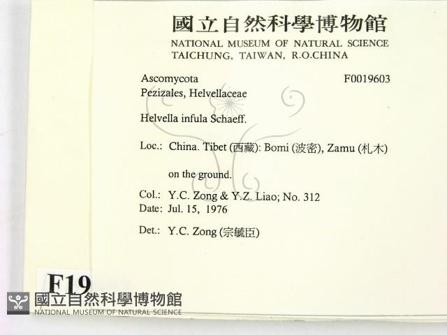 登錄號:F0019603藏品圖，第2張