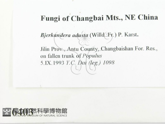 煙管菌藏品圖，第2張