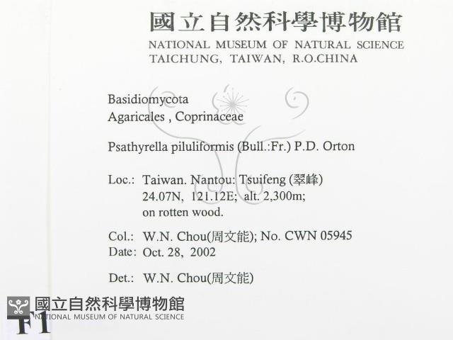 登錄號:F0016403藏品圖，第2張