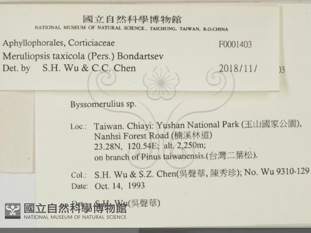 登錄號:F0001403藏品圖，第2張
