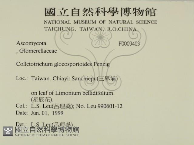 登錄號:F0009403藏品圖，第2張