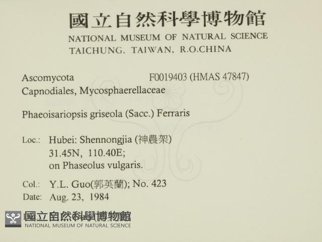登錄號:F0019403藏品圖，第2張