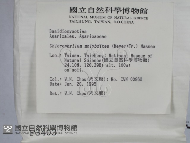 登錄號:F0003403藏品圖，第2張