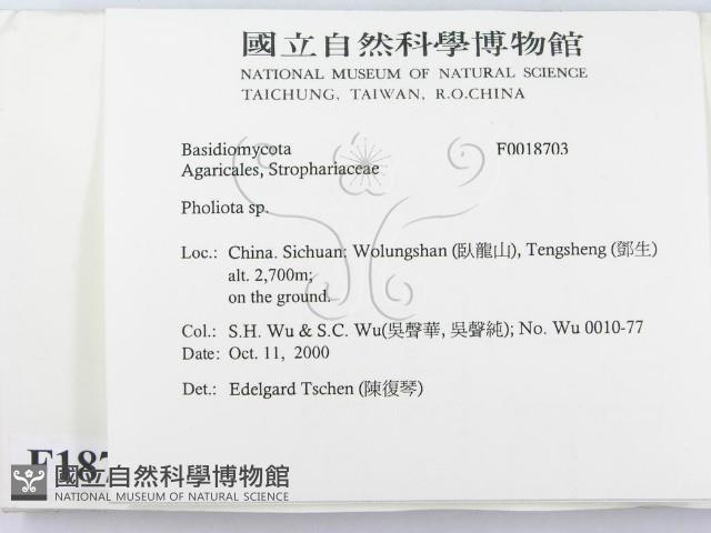 登錄號:F0018703藏品圖，第2張