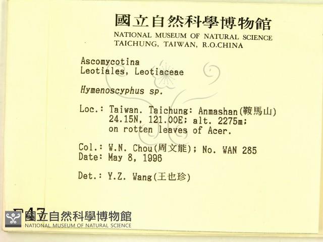 登錄號:F0004703藏品圖，第2張