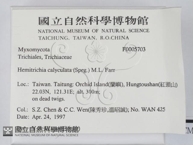 登錄號:F0005703藏品圖，第2張