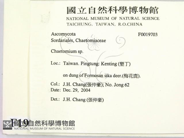 登錄號:F0019703藏品圖，第2張