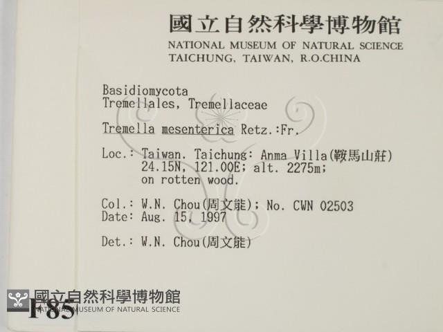 登錄號:F0008503藏品圖，第2張