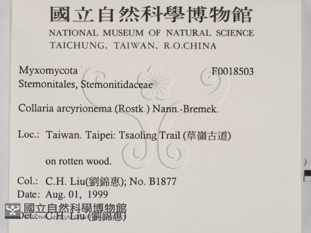 登錄號:F0018503藏品圖，第2張