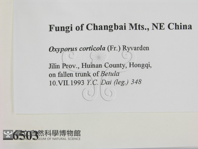 登錄號:F0006503藏品圖，第2張