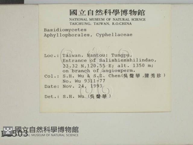 登錄號:F0001503藏品圖，第2張