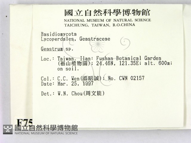 地星屬藏品圖，第2張