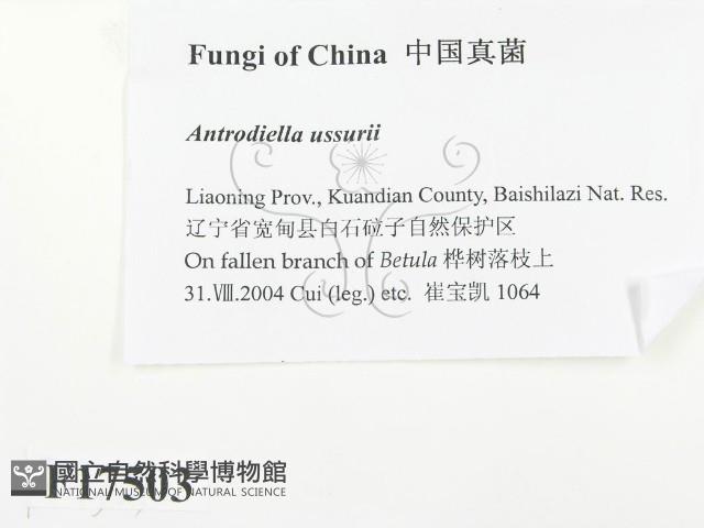 登錄號:F0017503藏品圖，第2張