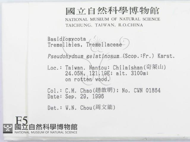 登錄號:F0005503藏品圖，第2張