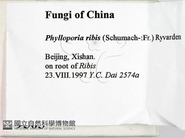 登錄號:F0009503藏品圖，第2張