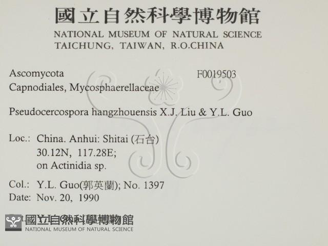 登錄號:F0019503藏品圖，第2張