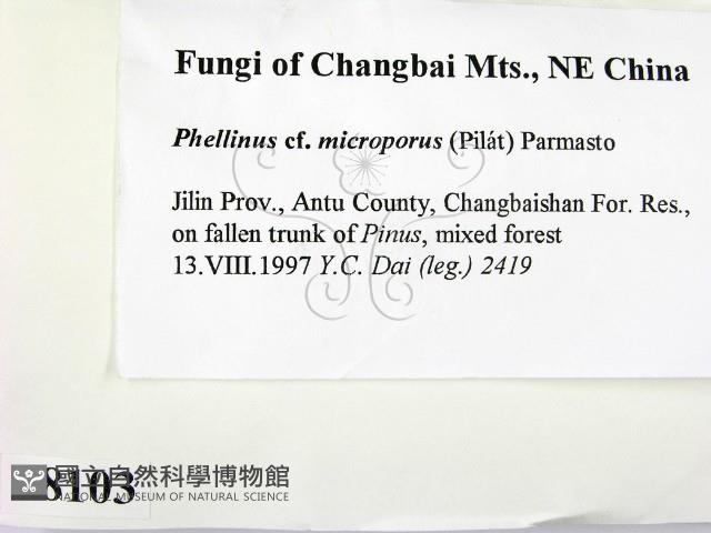 登錄號:F0008103藏品圖，第2張