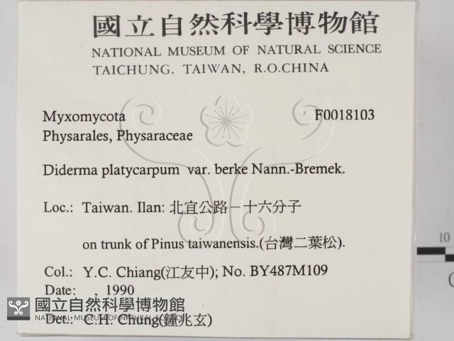 登錄號:F0018103藏品圖，第2張