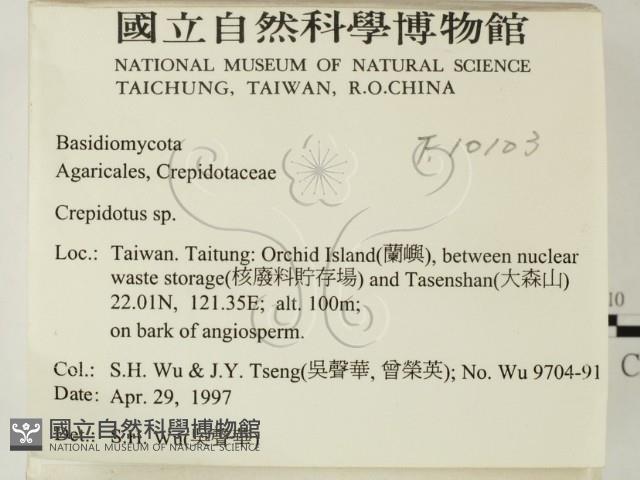 登錄號:F0010103藏品圖，第2張