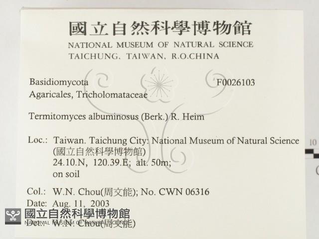 登錄號:F0026103藏品圖，第2張