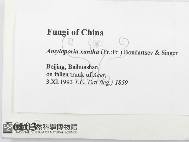 登錄號:F0006103藏品圖，第2張