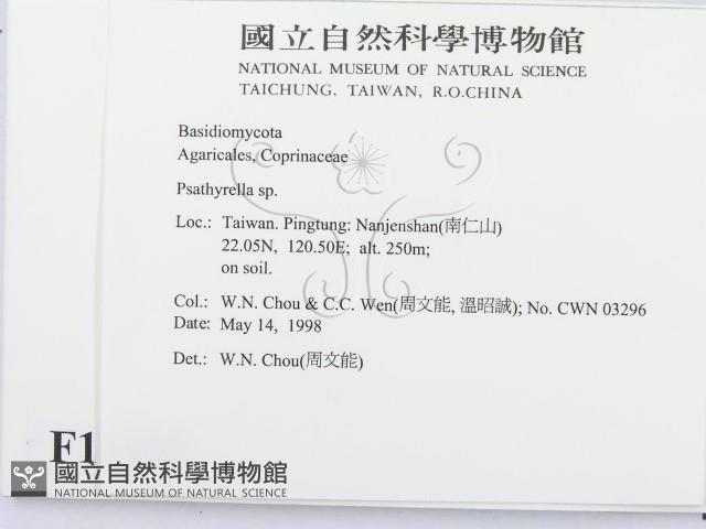 登錄號:F0011103藏品圖，第2張