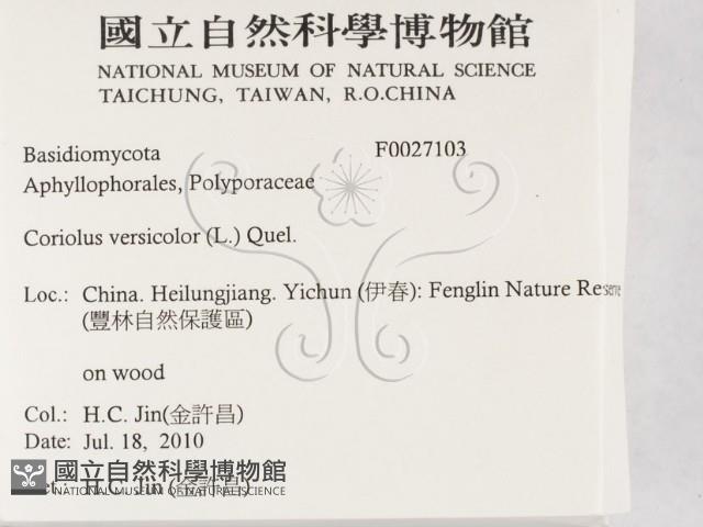 登錄號:F0027103藏品圖，第2張