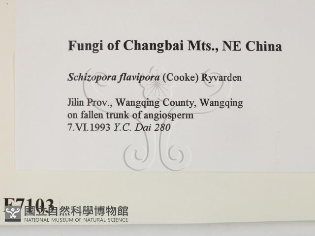 登錄號:F0007103藏品圖，第2張