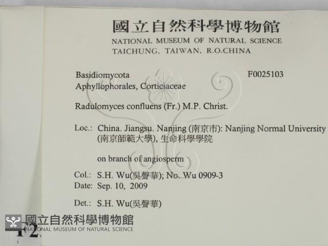 登錄號:F0025103藏品圖，第2張