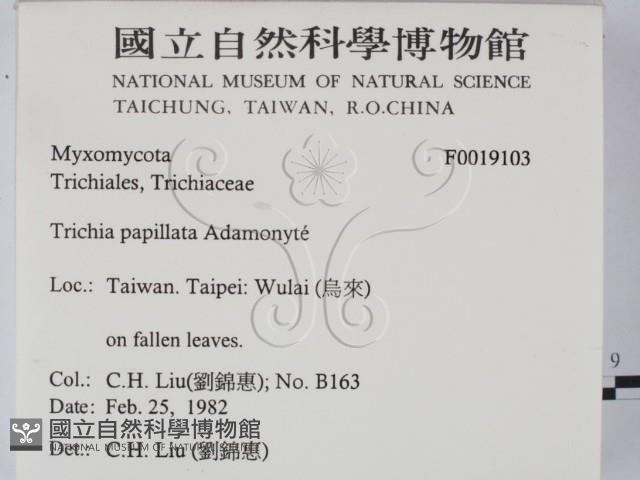 登錄號:F0019103藏品圖，第2張