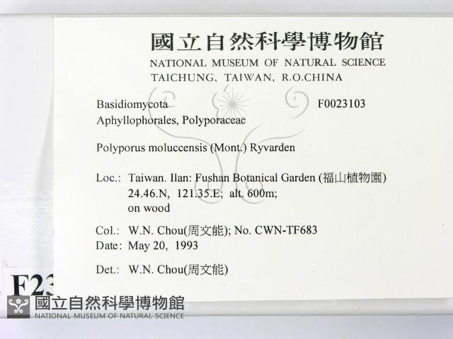 登錄號:F0023103藏品圖，第2張