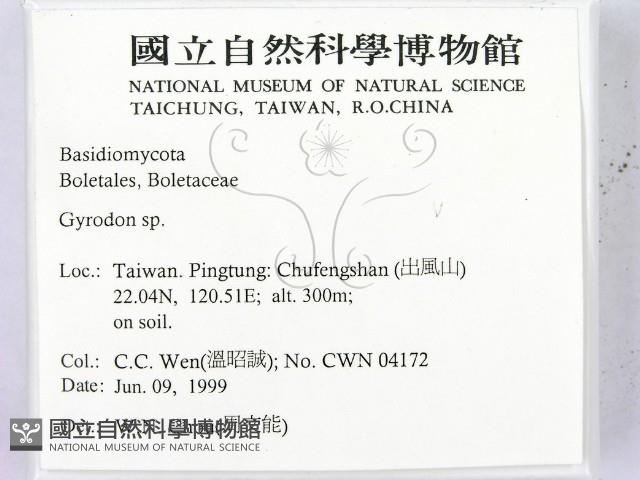 登錄號:F0013103藏品圖，第2張
