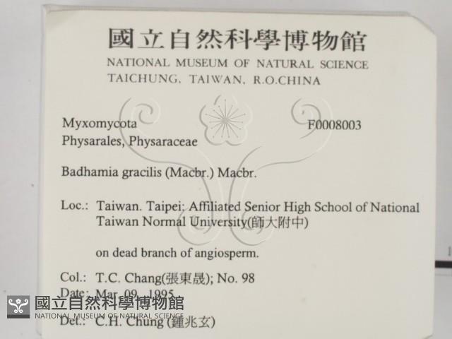 登錄號:F0008003藏品圖，第2張