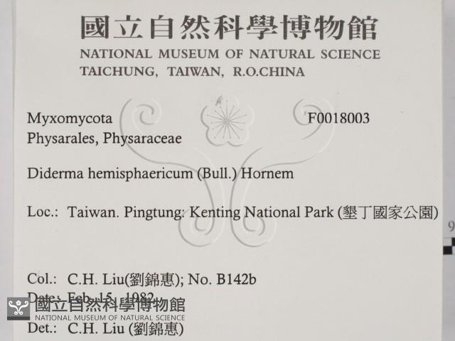 登錄號:F0018003藏品圖，第2張