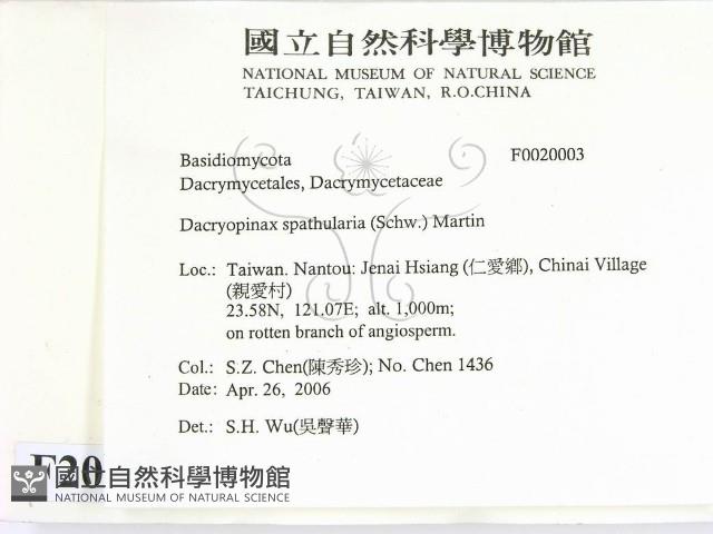 登錄號:F0020003藏品圖，第2張