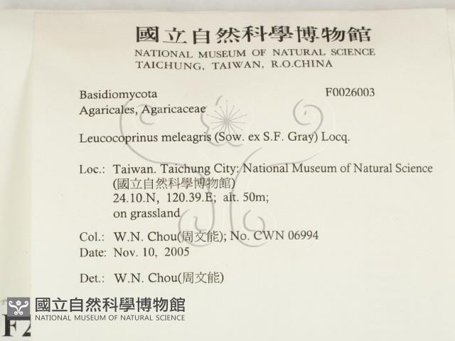 登錄號:F0026003藏品圖，第2張