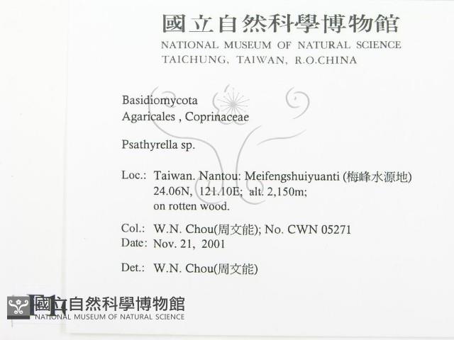 登錄號:F0016003藏品圖，第2張