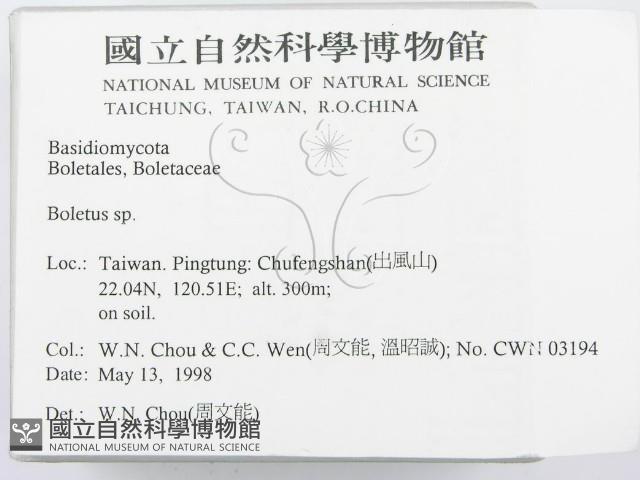 登錄號:F0011003藏品圖，第2張