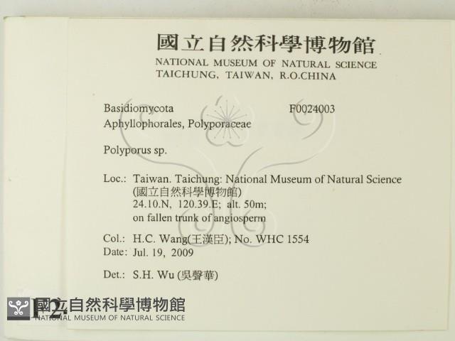 多孔菌屬藏品圖，第2張