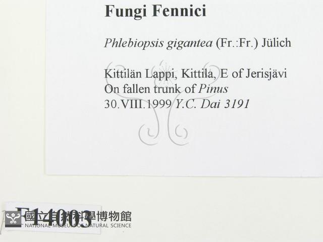登錄號:F0014003藏品圖，第2張