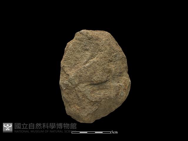 斧鋤形器藏品圖，第2張