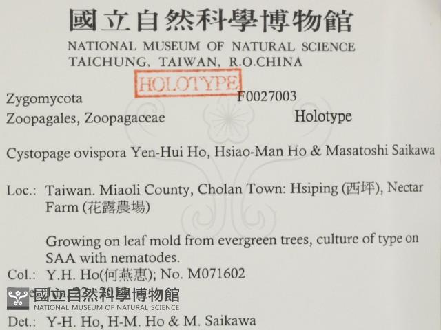 登錄號:F0027003藏品圖，第2張