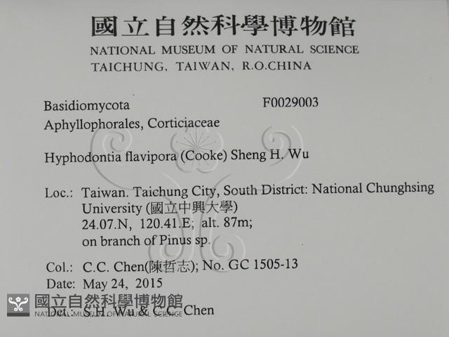 登錄號:F0029003藏品圖，第2張