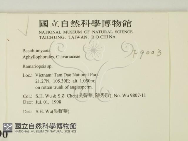 登錄號:F0009003藏品圖，第2張