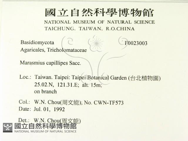 登錄號:F0023003藏品圖，第2張
